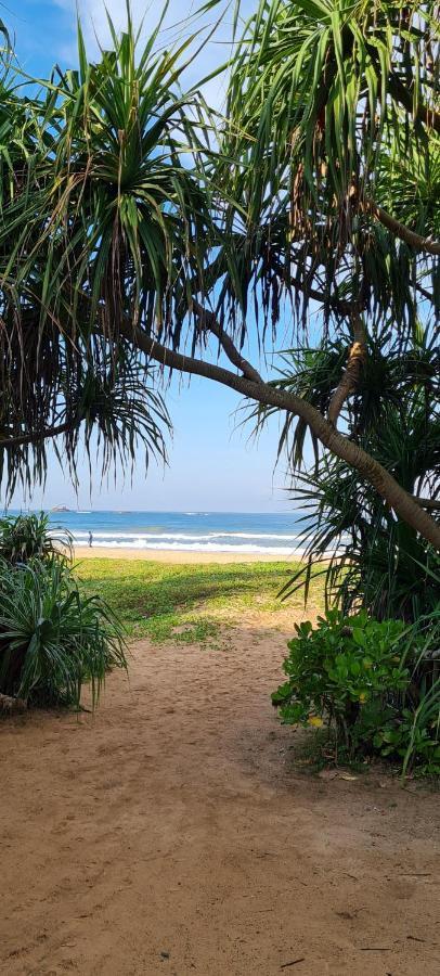 Wimala B&B Bentota Exterior photo