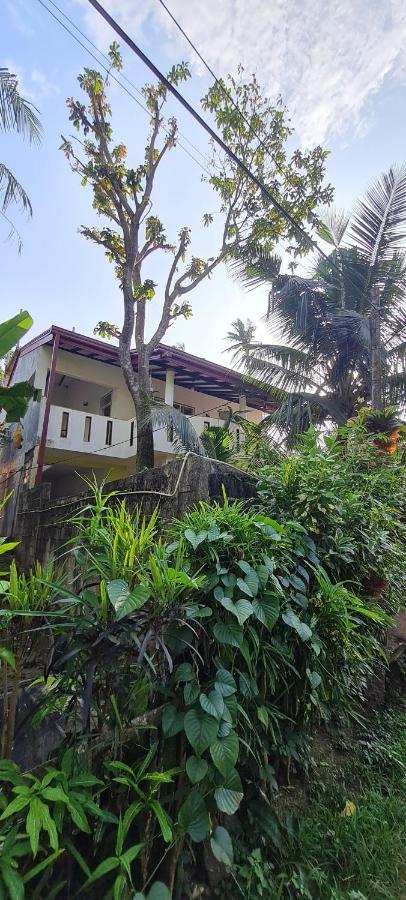 Wimala B&B Bentota Exterior photo