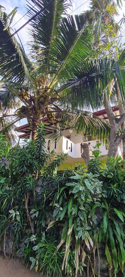 Wimala B&B Bentota Exterior photo